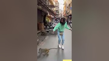 Monkey greep de mobiele telefoon.