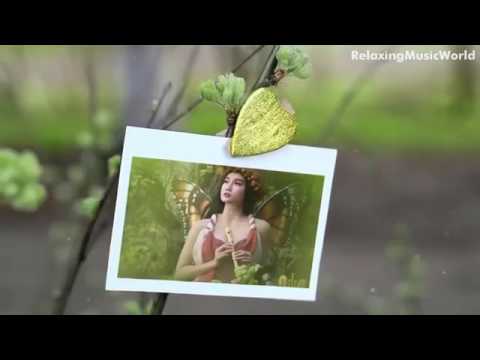 Take Me To Your Heart 吻别 (English version) Jin Chi 金池 Lyrics HD 1080p