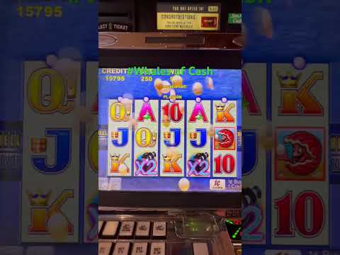 T1 Trustfire Alumbrando el los Canales Cerca del Casino Marina del Sol - www.tienda8.cl