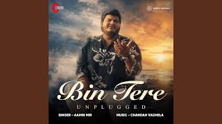 Download Lagu Bin Tere (Unplugged)