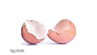 15 Things You Should Never Put Down a Garbage Disposal