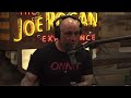 Joe rogan talks with action bronson about stem cells  bioxcellerator