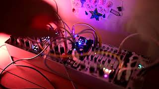 There must be birds here...   Serge NTO - Surface - Sealegs - MFX   -   Live Modular Eurorack