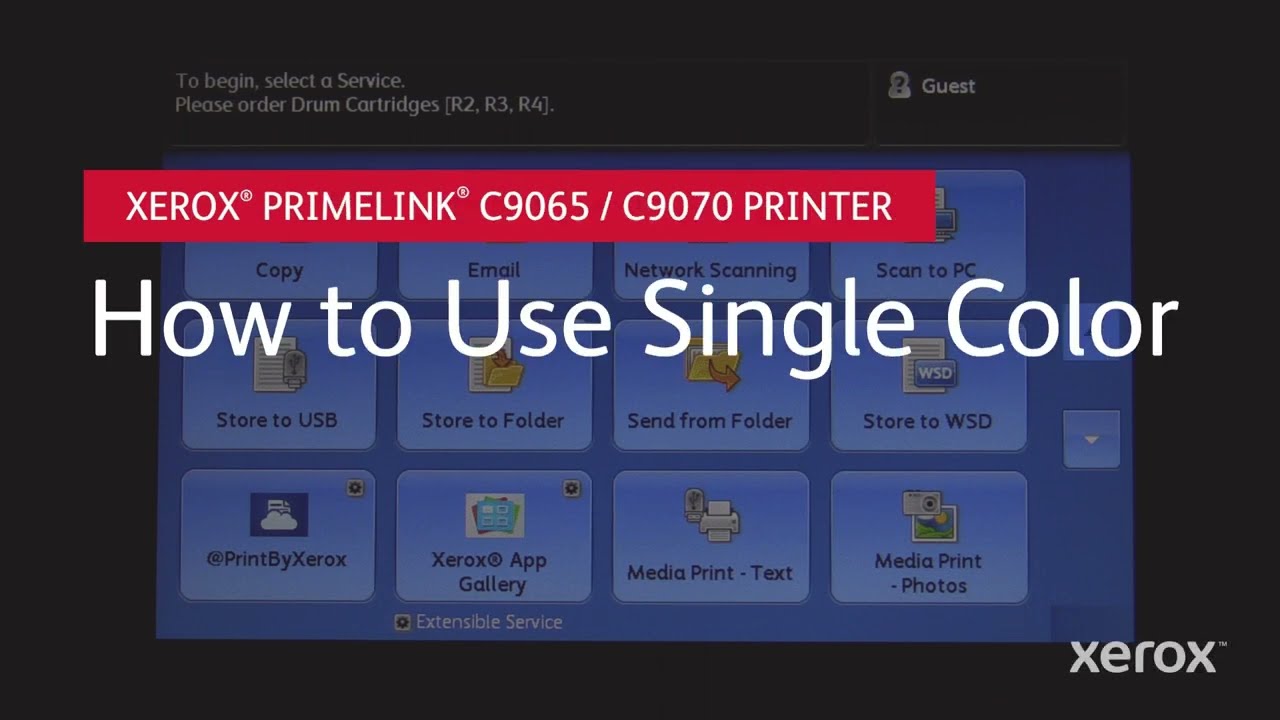 maxresdefault.jpg?sqp=-