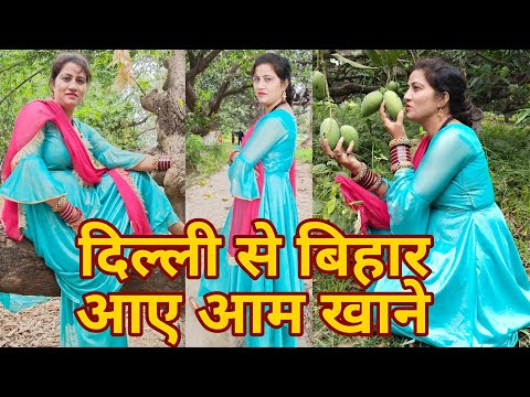 दिल्ली से बिहार आए आम खाने | My First Block | मेरे गांव का कच्चा आम | माय फर्स्ट ब्लॉग वीडियो |