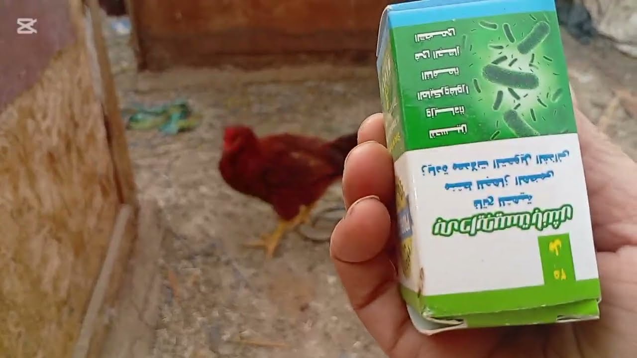 طلعت السطح اتصدمت 🙈يعوض عليه ربنا 🥹اول مرة رمضان يجي عليه ☠️وانا محتاسه كده العوض يارب 