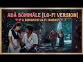 ADA BOMMALE | LOFI | FULL SONG| MALAYALAM