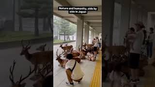 humanity still alive🥰#photography #videography #wildlife #shortsviral #viralshort #youtubeshorts