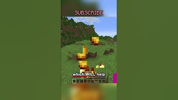 the only counter to the mace...