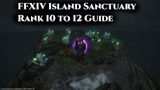 FFXIV Island Sanctuary Rank 10 to 12 Guide