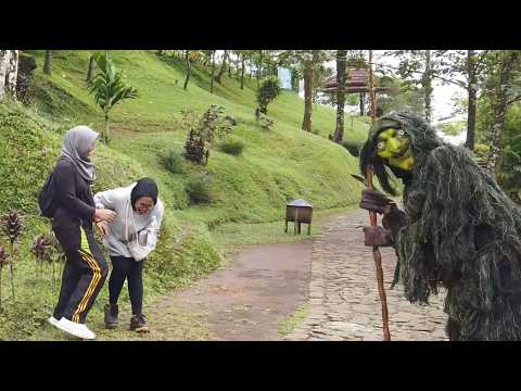 Apa yang ada dipikiranmu ketika tiba-tiba jumpa makhluk ini..?!! 🤣 #funny  #videoviral #lol