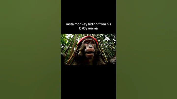 Rasta monkey edition Google Veo 3