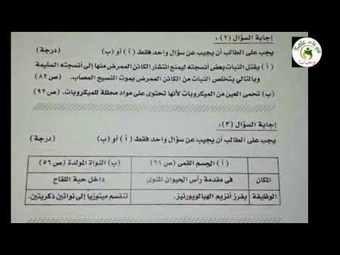 نموذج إجابة امتحان الأحياء للثانوية العامة ٢٠٢٠