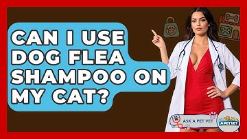 Can I Use Dog Flea Shampoo On My Cat? - Ask A Pet Vet