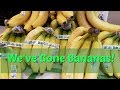 We've Gone Bananas!