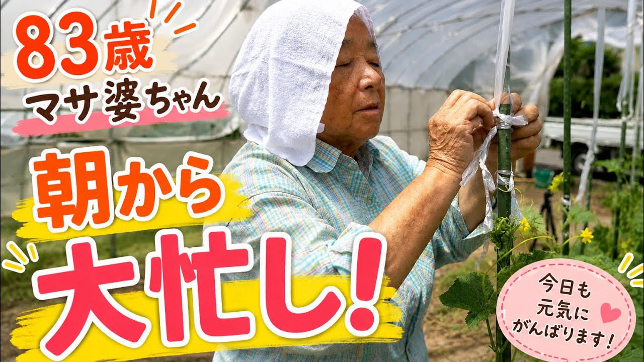83-Year-Old's Daily Life] Busy from the Morning! So Much to Do in