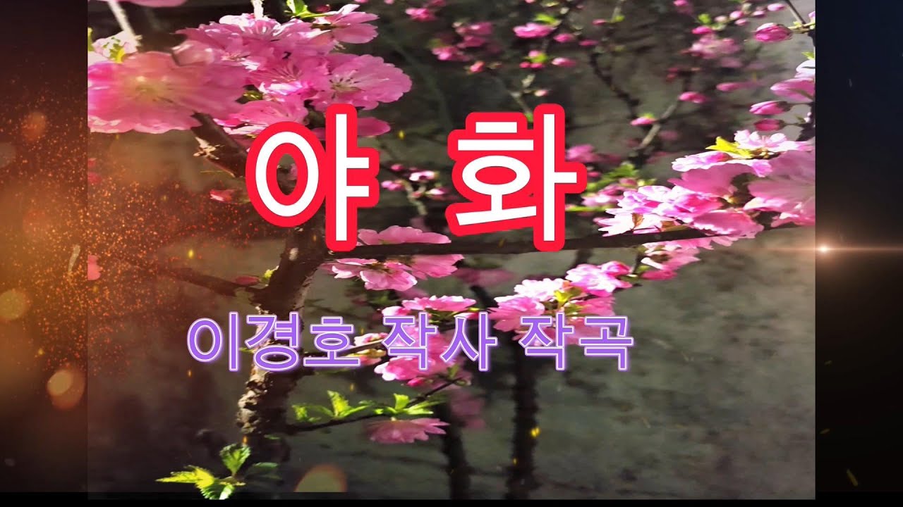夜花  사랑의 하모니