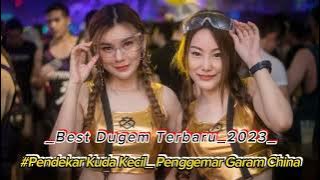 DUGEM_-_PENDEKAR KUDA KECIL PENGGEMAR GARAM CHINA_TAKKAN PISAH X KEHILANGAN (  DJ ARYA ON THE MIX )