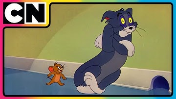 Tom & Jerry😺🐭| Jerry’s Survival Skills: Legendary!🫣| Cartoon for Kids | Cat & The Mouse | @cnindia ​