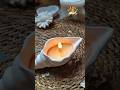 ঝিনুক ক্যান্ডেল 🐚🕯️.......#candlemaking#diy#daisycandle#candlecraft#trending#viralvideos#giftideas