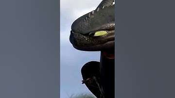 His Face 😂 #edit #httyd #capcut #toothless #fyp #hiccup #nightfury #fypシ #httyd2 #dragon