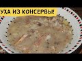 УХА за 20 минут! РЫБНЫЙ СУП из консервы. ПИЩА СТУДЕНТОВ.