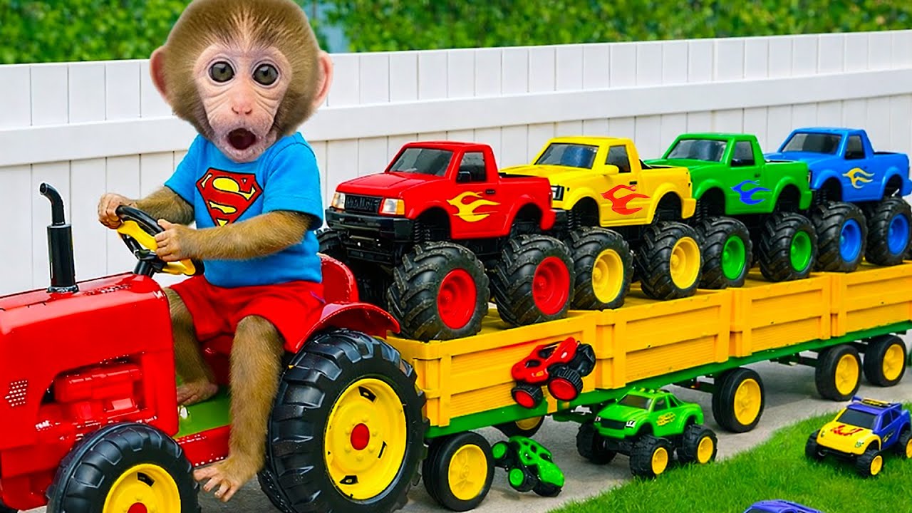 Monkey BonBon i zabawna katastrofa w restauracji – Monkey Poland