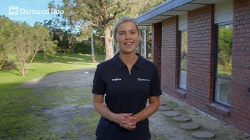 Talking Pest Control: Quick Tips for Ant Control