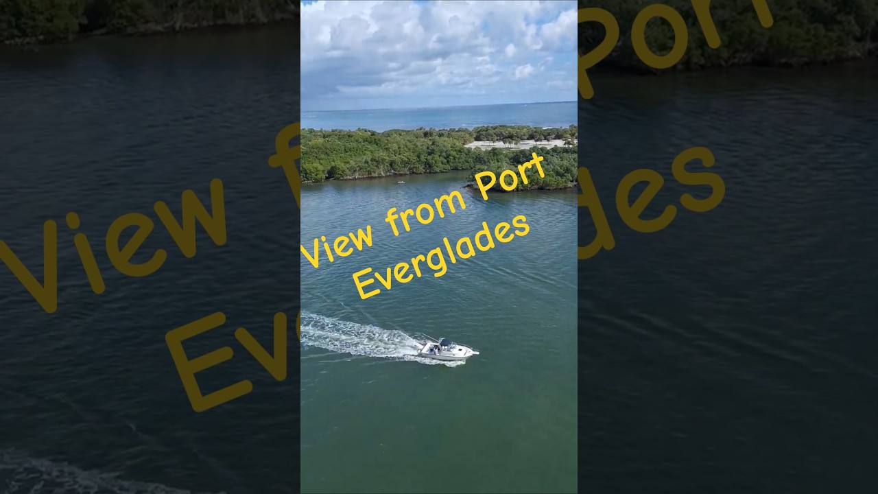 Fort Lauderdale from the cruise port #solotravel #cruisetour #porteverglades