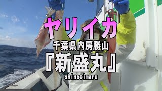 新盛丸・千葉県勝山港・ヤリイカ【釣りビジョン マガジン】