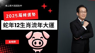 今年沖太歲容易出事！？2025乙巳年十二生肖流年運勢屬豬篇-愛情、事業、財運、健康