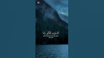 اكتب شيء تؤجر عليه 😴🤍 #قران_كريم #عمر_بن_ضياء_الدين #سورة_آل_عمران #تلاوة_هادئة #تلاوة_خاشعة