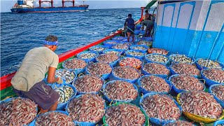 OMG😱Epic Trawling Trip!⚓️Biggest Fishing Day Ton’s Of Fish caught ‼️PAMBAN, Mangalore Trawler🔥