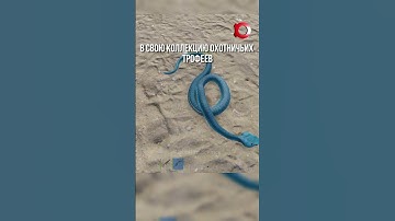 Новый змеиный трофей в Раст  #rust #alpharust #rustshorts #раст