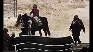 Quinella For Trainer Jason DaCosta At Mahoning Valley