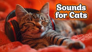 TOP 20 🎧 Decoding the Sounds for Your Cat REALLY Loves (or Hates!)