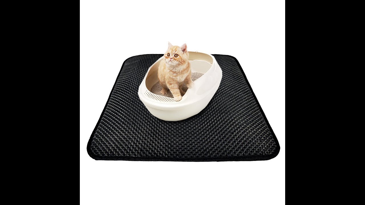 2018 Best Trap Litter Mat Locker Cat Mat YouTube