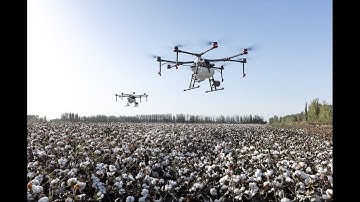 Third Party Invention - Cropsity - Automated Disease Detection in Crops via Drones & Deep Learning