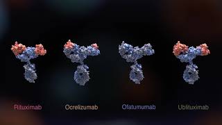 B-Cell Therapies in Relapsing MS: Clarifying the Options in an Expanding Treatment Landscape