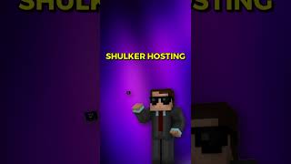 Aternos vs Shulker: Minecraft Server Glow Up! ✨