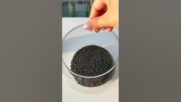 Thumbnail of how to grow aquatic plant seeds for aquarium | Nano glass  bowl setup #plantedtank #aquarium #fish