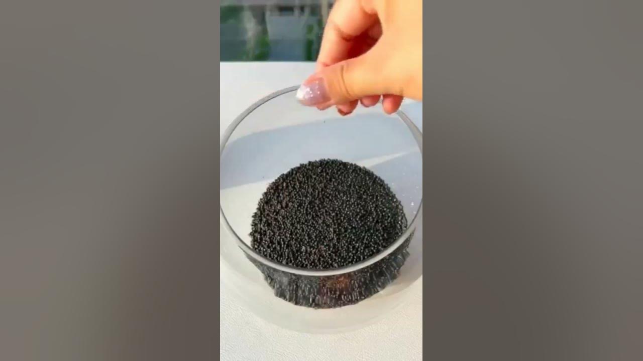how to grow aquatic plant seeds for aquarium | Nano glass  bowl setup #plantedtank #aquarium #fish