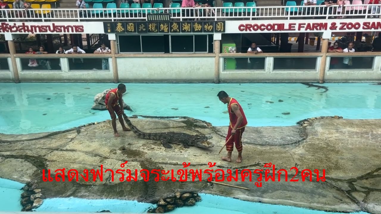 มาเที่ยวฟาร์มจระเข้และสวนสัตว์สมุทรปราการ