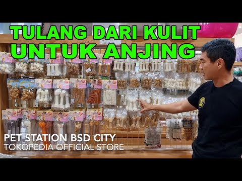 Video: Apakah anjing memiliki rahang yang terkunci?