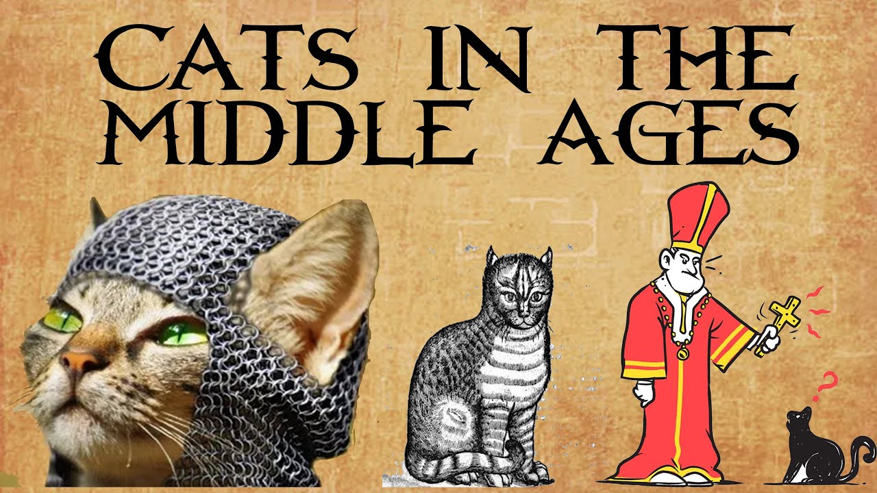 Cat In Medieval Times Pets In Medieval Times Cats In The Middle Ages cat-in-medieval-times-pets-in-medieval-times-cats-in-the-middle-ages
