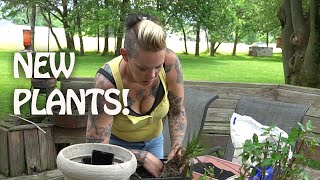 Three EASY Ways to Pot Pond Plants