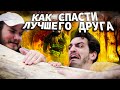 КАК СПАСТИ ЛУЧШЕГО ДРУГА