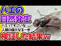 【2ch動物スレ】ハエの自然発生を実験してみた結果→先人の実験について何J民が議論する。 #昆虫 #生き物