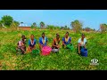 WALAGA LUKWAJA __ HARUSI YA NG'WALU (Official Video)