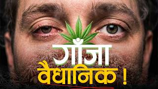 नेपालमै पहिलो पटक गाँजा खेतिलाई वैधानिकता || Cannabis legalized in Nepal ! || SIDHAKURA ||